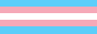 Trans Flag Icon